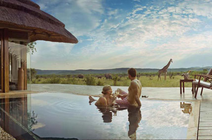 Madikwe Hills Private Game Lodge - Madikwe Game Reserve - South Africa Luxury Safari Lodge