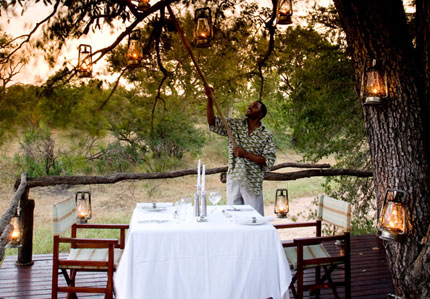 Ngala Tented Camp, Ngala Private Game Reserve