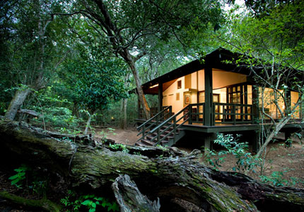Phinda Forest Lodge, Phinda Private Game Reserve - KwaZulu Natal - South Africa Luxury Safari Lodge