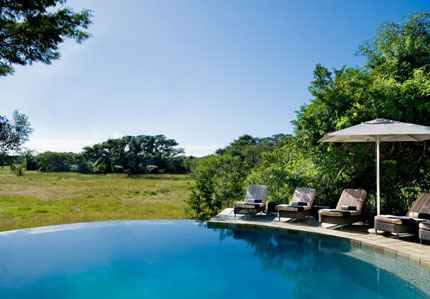 Phinda Forest Lodge, Phinda Private Game Reserve - KwaZulu Natal - South Africa Luxury Safari Lodge