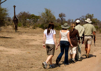 Tanda Tula Safari Camp - Kruger National Park - South Africa Safari Camp