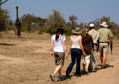 Tanda Tula Safari Camp - Kruger National Park - South Africa Safari Camp