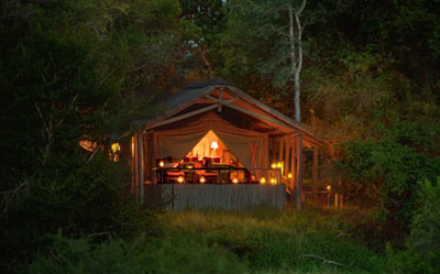 Tanda Tula Safari Camp - Kruger National Park - South Africa Safari Camp