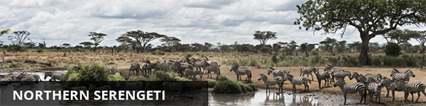 Northern Serengeti