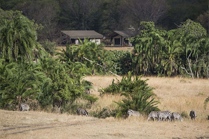 Bologonya Under Canvas Safari Camp - Northern Serengeti National Park