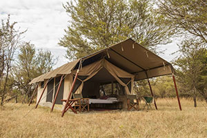 Bologonya Under Canvas, Serengeti