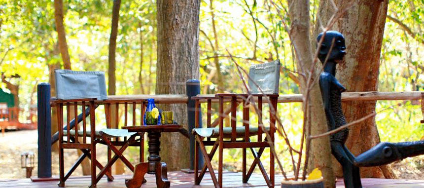 Gombe Forest Lodge - Gombe Stream National Park, Lake Tanganyika - Tanzania Island Lodge