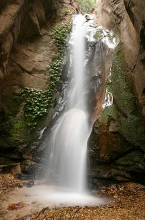 Gombe Forest Lodge - Gombe Stream National Park, Lake Tanganyika - Tanzania Island Lodge