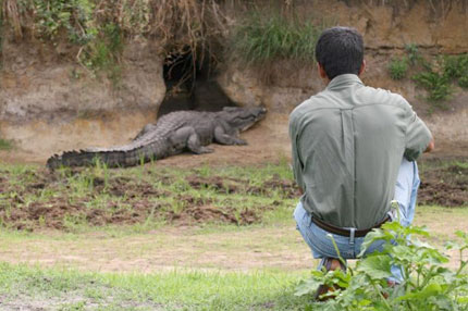 Katuma Bush Lodge - Katavi National Park - Tanzania Safari Camp