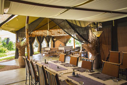 Kwihala Camp - Ruaha National Park - Tanzania Safari Camp