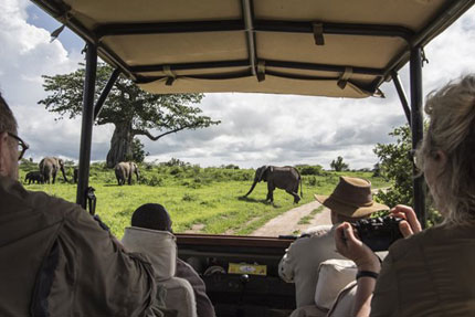 Kwihala Camp - Ruaha National Park - Tanzania Safari Camp