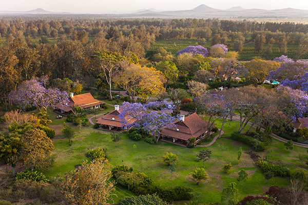 Legendary Lodge, Arusha