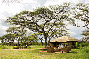 Legendary Serengeti Camp Grumeti