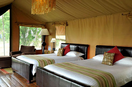 Lemala Ndutu & Mara Tented Camps - Serengeti Safari Camps, Tanzania