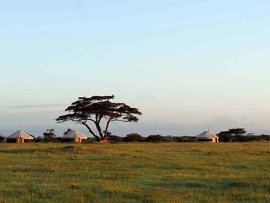 Nduara Loliondo Camp - Loliondo - Tanzania Safari Camp