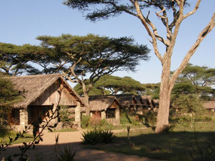 Ndutu Safari Lodge - Serengeti National Park - Tanzania Safari Lodge