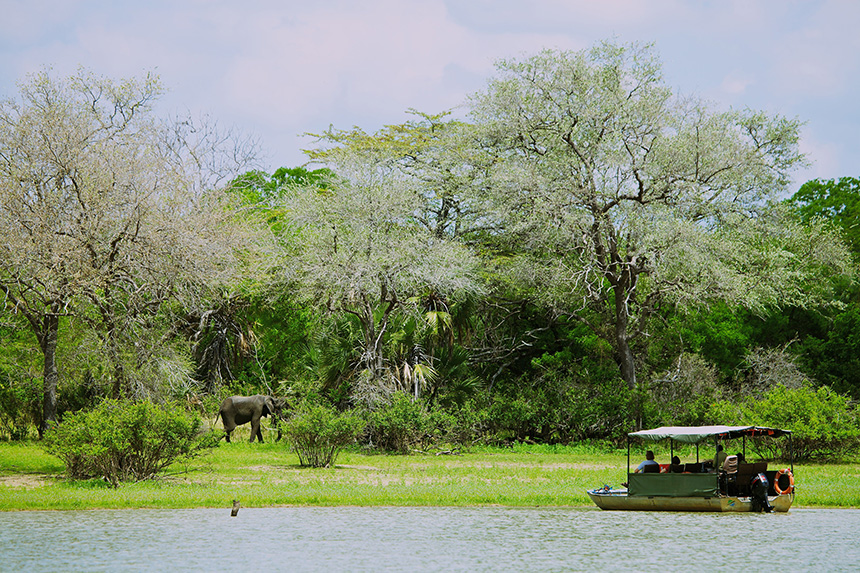 Boat safari - Rufiji River Camp