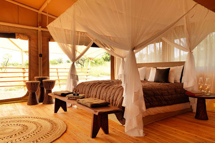 Serengeti Bushtops Camp - Serengeti National Park - Tanzania Luxury Safari Camp