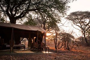 Chada Katavi - Katavi National Park