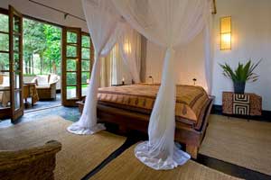 Plantation Lodge - Ngorongoro Crater