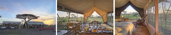 andBeyond Serengeti under Canvas, Serengeti National Park