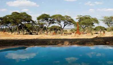 Sanctuary Swala - Tarangire National Park - Tanzania Safari Camp