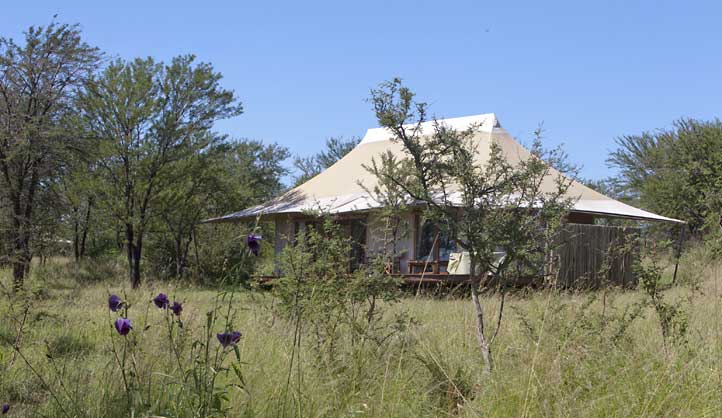 Sayari Camp - Serengeti National Park - Tanzania Safari Camp