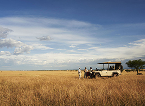 Game drive in Serengeti