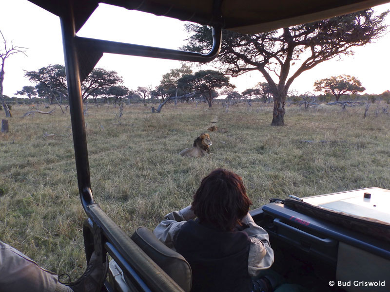 Best of Zimbabwe and Botswana May 12 – 25 2014 Trip Report