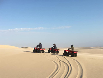 sand dunes, Skeleton Coast