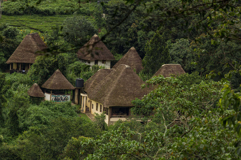 Bwindi Lodge - Bwindi Impenetrable Forest - Uganda Safari Lodge