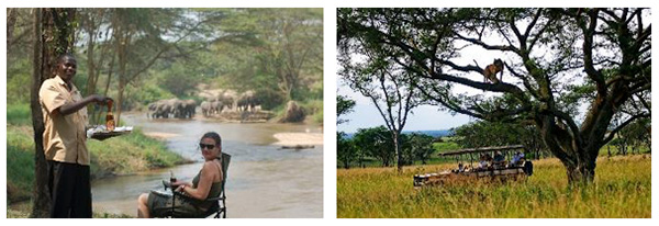 Ishasha Wilderness Camp, Southern Queen Elizabeth National Park - Classical Uganda Tour