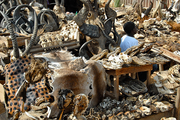 Fetish market