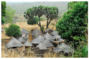 Taneka village