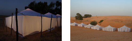 Camping in Sahara Desert