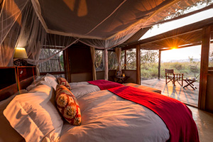 Busanga Bush Camp - Kafue National Park, Zambia