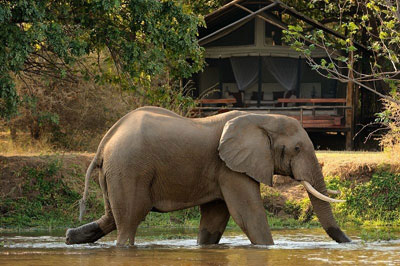 Chaiwa Camp - Lower Zambezi National Park - Zambia Safari Camp