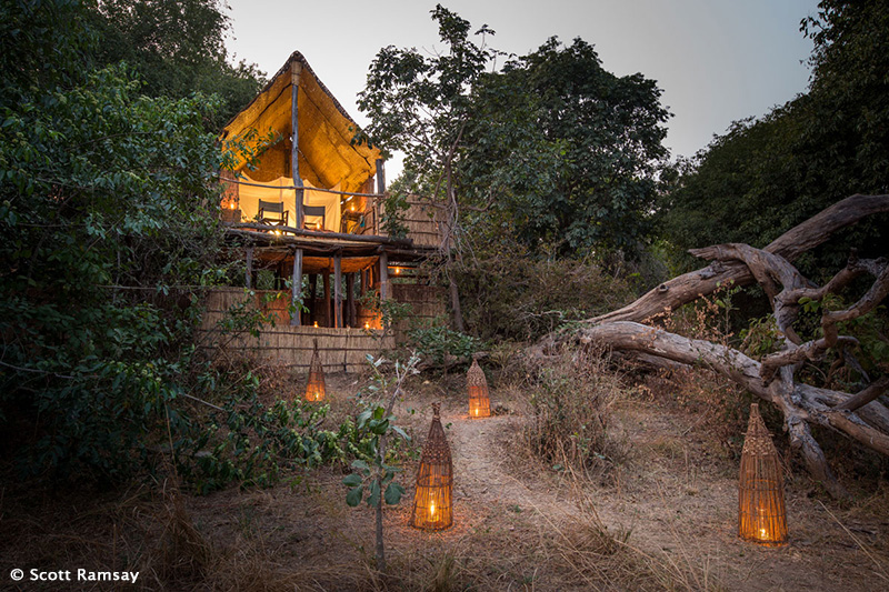 Chikoko Tree Camp - Chikoko Trails Camps, South Luangwa