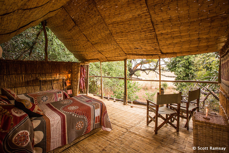 Tree house - Chikoko Tree Camp