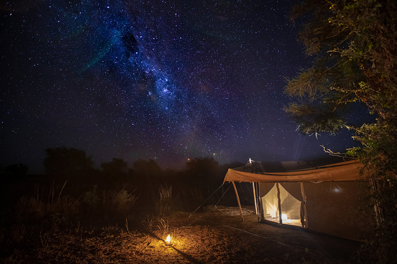 Stars - Chula Island Camp - Lower Zambezi National Park, Zambia