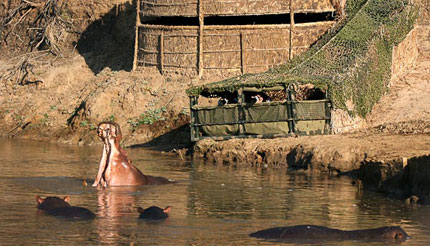 Kaingo Camp - South Luangwa National Park - Zambia Safari Camp