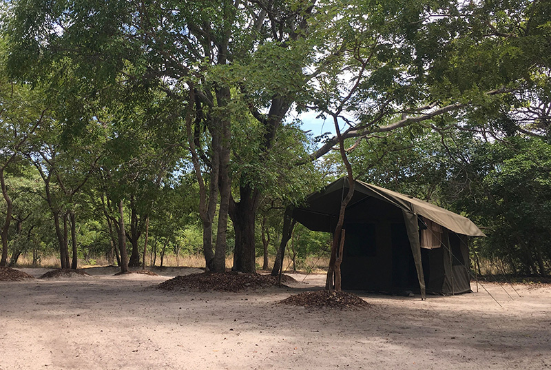 Tent - Liuwa Plain Mobile Camp - Liuwa Plains, Zambia