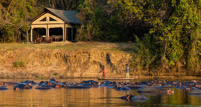 Luambe Camp - Luambe National Park, Zambia