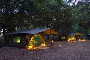Luangwa Bush Camping - South Luangwa National Park