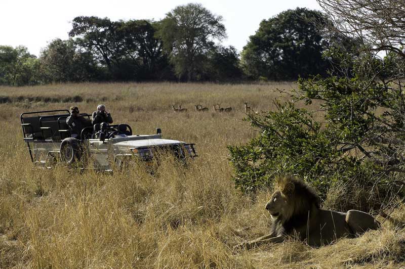 Lufupa River Camp - Kafue National Park - Zambia Safari Adventure Camp