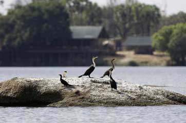 Lufupa River Camp - Kafue National Park - Zambia Safari Adventure Camp