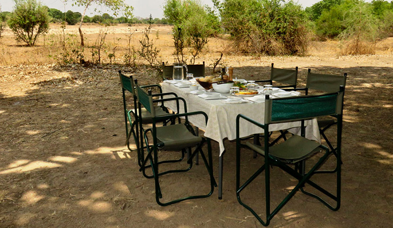 Bush lunch - Mapazi Camp - South Luangwa National Park, Zambia