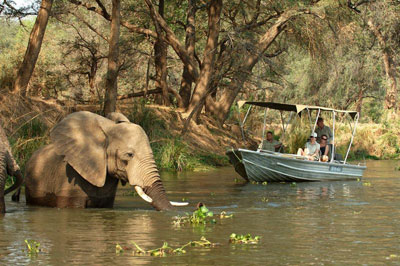 Old Mondoro Camp - Lower Zambezi National Park - Zambia Safari Camp