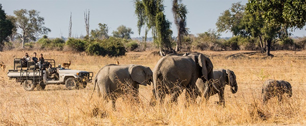 Game drive - Remote Zambia