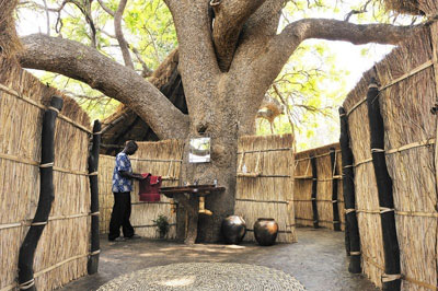 Tafika Camp - South Luangwa National Park - Zambia Safari Camp